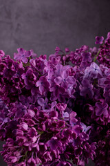 Wall Mural - Beautiful purple lilac flowers. Macro photo of lilac spring flowers.