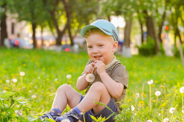 Wall Mural - a little boy sits on the grass among dandelions.