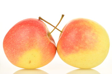 Two ripe organic, juicy, fragrant apples, close-up, on a white background.