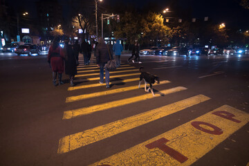 Canvas Print - Crosswalk and people