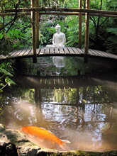 A Statue Of Buddha Sitting In A Pond. Tranquility Background. A Red Fish Is Swimming In The Pond.
