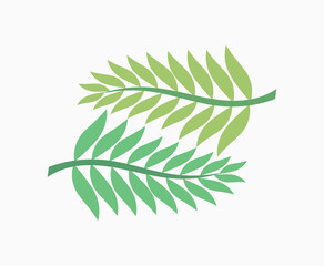 Wall Mural - two green palm leaves.