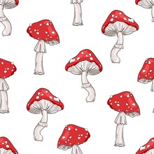 Seamless Pattern Amanita Mushrooms Print For Textile Vector Illustration Design