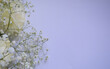 Bouquet of white roses and gypsophila on a light lilac background. Beautiful floral arrangement. Top view. Copy space