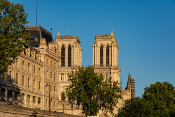 Wall Mural - Notre Dame de Paris after the fire