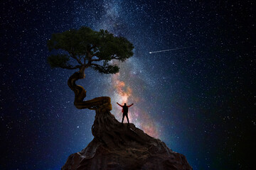 Wall Mural - man under a tree in front of the universe