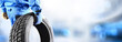 © Milan - Mechanic holding tire with copy space for text repair service center, blurred background,