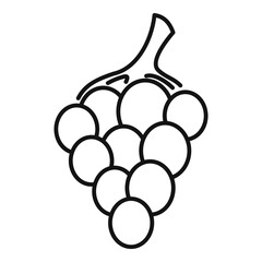 Poster - Fresh grapes icon. Outline fresh grapes vector icon for web design isolated on white background