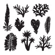 Seaweeds. Black silhouettes. Underwater hand drawn sea plants, ocean plants, coral elements, algae. Hand draw vector illustration.