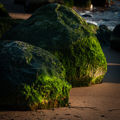 Wall Mural - stones at sea at sunset and in the long exposition