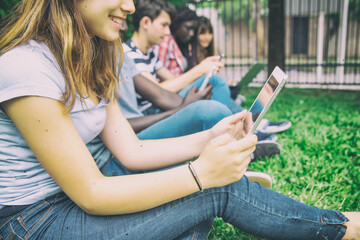 Wall Mural - Group of students outdoor in a park studying