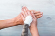 Couple or family hands and cat paw on the top. Human and the animal connection. Trust and friendship concept.