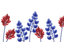 Indian Paintbrush And Bluebonnet