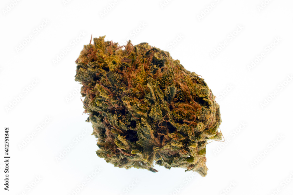 Nug Isolated Marijuana flower bud, close up isolated on a white background. Mountain ...