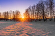 Sunset or sunrise in a winter valley with  snow on earth and grove on the background Rows of sun rays passing through the trees