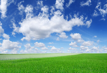 Wall Mural - idyllic view, green hills and blue sky