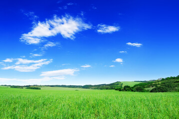 Idyll, view of green fields and blue sky with white clouds