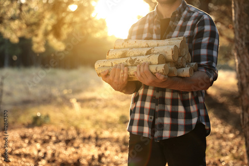 Obraz Dibond Man holding pile of cut firewood in forest, closeup