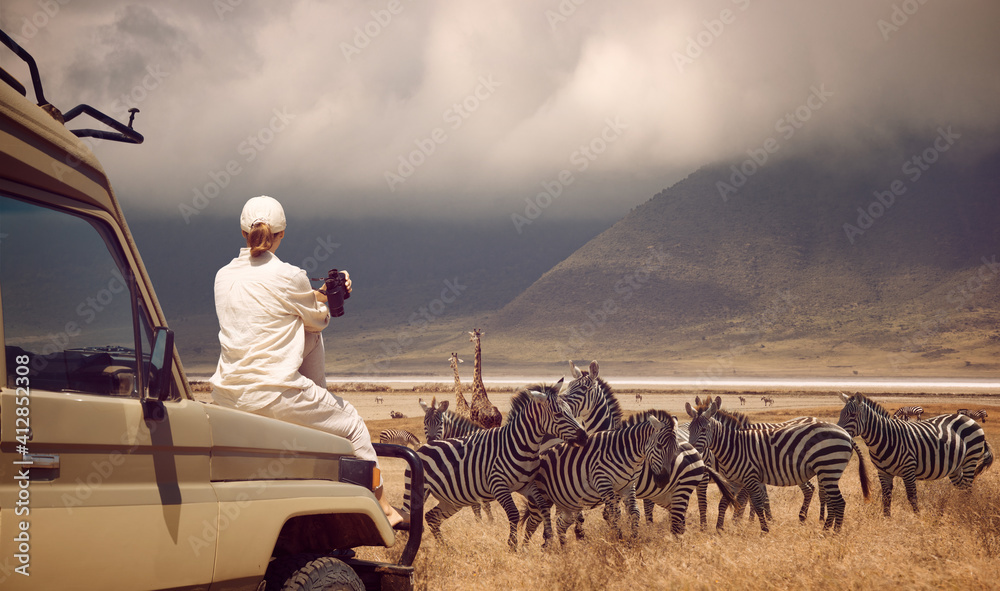 Woman traveler on safari-tour in Africa, traveling by car in Tanzania, watching wild animals and birds in the National park Ngorongoro - obrazy, fototapety, plakaty 