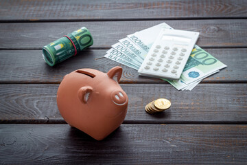 Savings and investment concept. Piggy bank with money