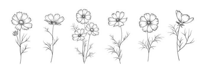 Set of differents flowers on white background.