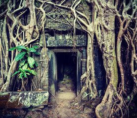 Fototapete - Ancient stone door and tree roots, Ta Prohm temple, Angkor