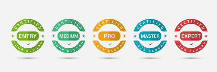 Poster - logo badge for standard certified training criteria company. business certification label design vec