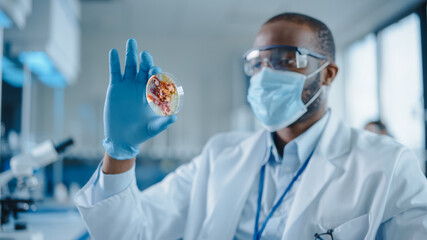 african american male scientist wearing face mask and glasses looking at petri dish with genetically