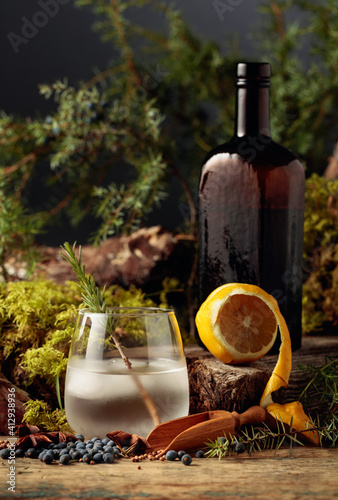 Gin-tonic cocktail with ice and a sprig of rosemary. © Igor Normann