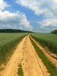 Dirt Road Amidst Agricultural Field Against Sky