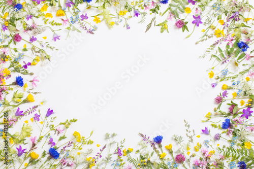 beautiful wild flowers on white background