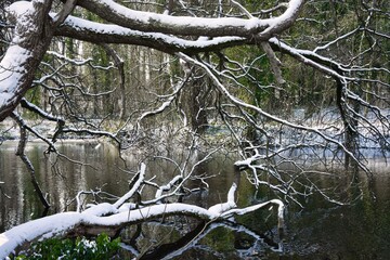 Canvas Print - Paysage hivernal 