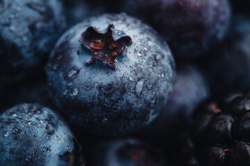 Sticker - Beautiful macro of a fresh blueberry