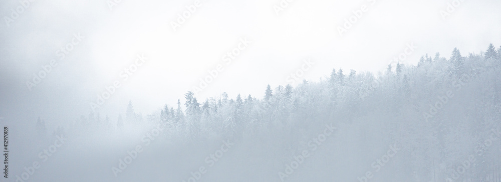 Góry w mglisty dzień - obrazy, fototapety, plakaty 