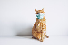 Cat Wearing Medical Mask On White Background Because Of Coronavirus Or Air Pollution Or Virus Epidemic. Covid For Pets. Place For Text Stock Photo