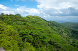 Fototapeta Natura - Panoramic view over the forest from the Nid Dâ€™Aigles top hill point, with blue sky. La Digue Island, Seychelles
