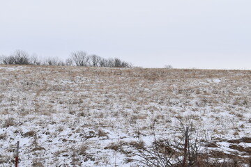 Canvas Print - Snowy Field