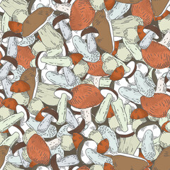 Poster - Many Mushrooms natural color seamless pattern. Natural food theme vector background