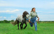 Caucasian woman and her playful grey pony is running through the grass.