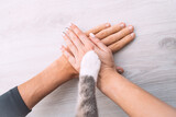 Couple or family hands and cat paw on the top. Human and the animal connection. People and pets friendship, togetherness and trust concept