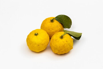 Poster - 国産ゆず Citron fruit