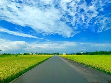 Empty Road Amidst Agricultural Field Against Sky