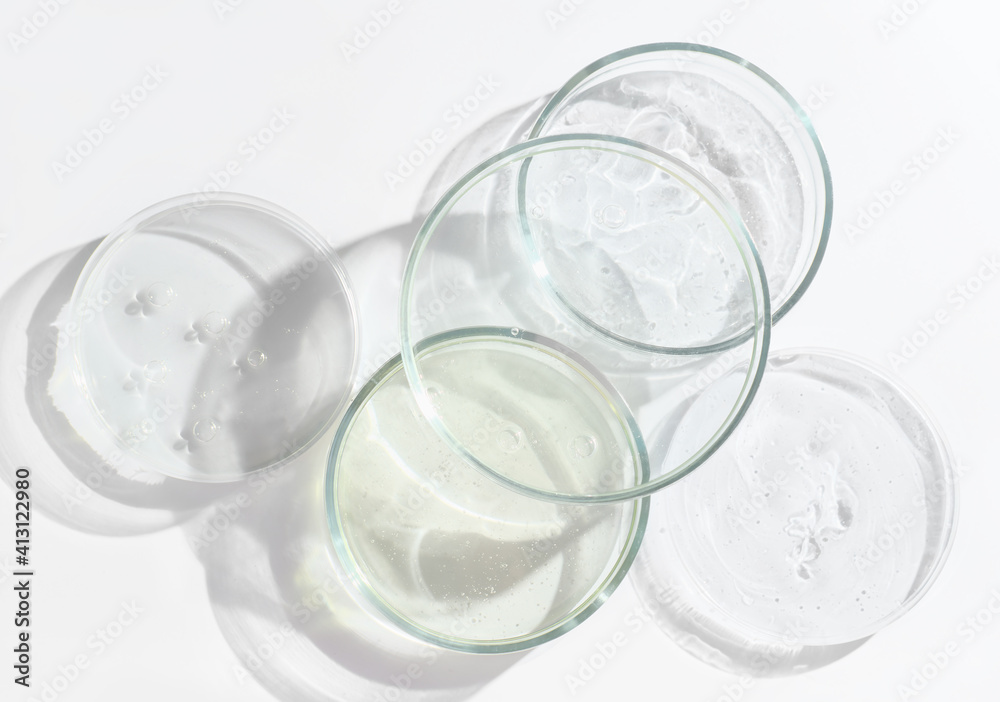 glass Petri dishes witn agar substrat on a laboratory table. sterile ...