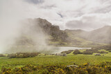 Fototapeta  - Lakes of Covadonga with fog in Spring.