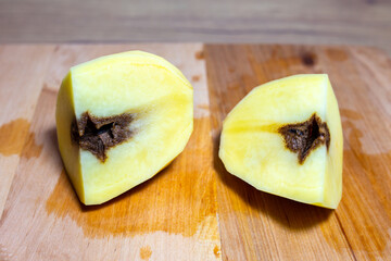 spoiled, rotten potatoes. disease, tuber illness. potato infected with fungal disease.