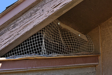 Sticker - An easy barrier to keep birds from under the house eaves is to put up a wire screen.