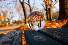 Close-up Of Crystal Ball On Wooden Bench During Autumn