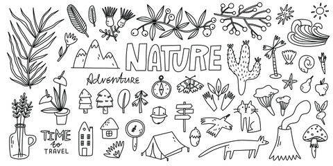 doodle nature vector illustration, ideal for coloring