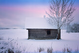 Fototapeta Las - The Abandoned old log house in Latvian winter landscape.