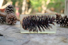 Casting Epoxy Resin Stabilizing Pine Cone Colorful Background